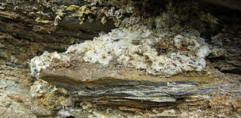 Каменное масло на горных породах