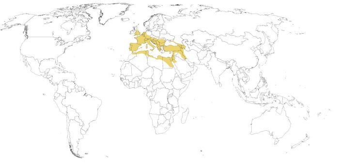 Римская империя в э117 г н. э.