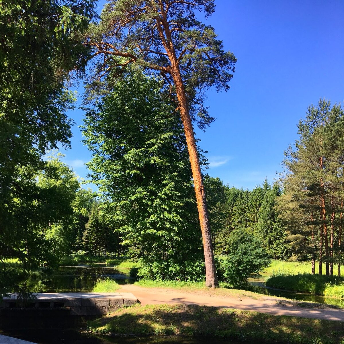 Часть пейзажного парка.