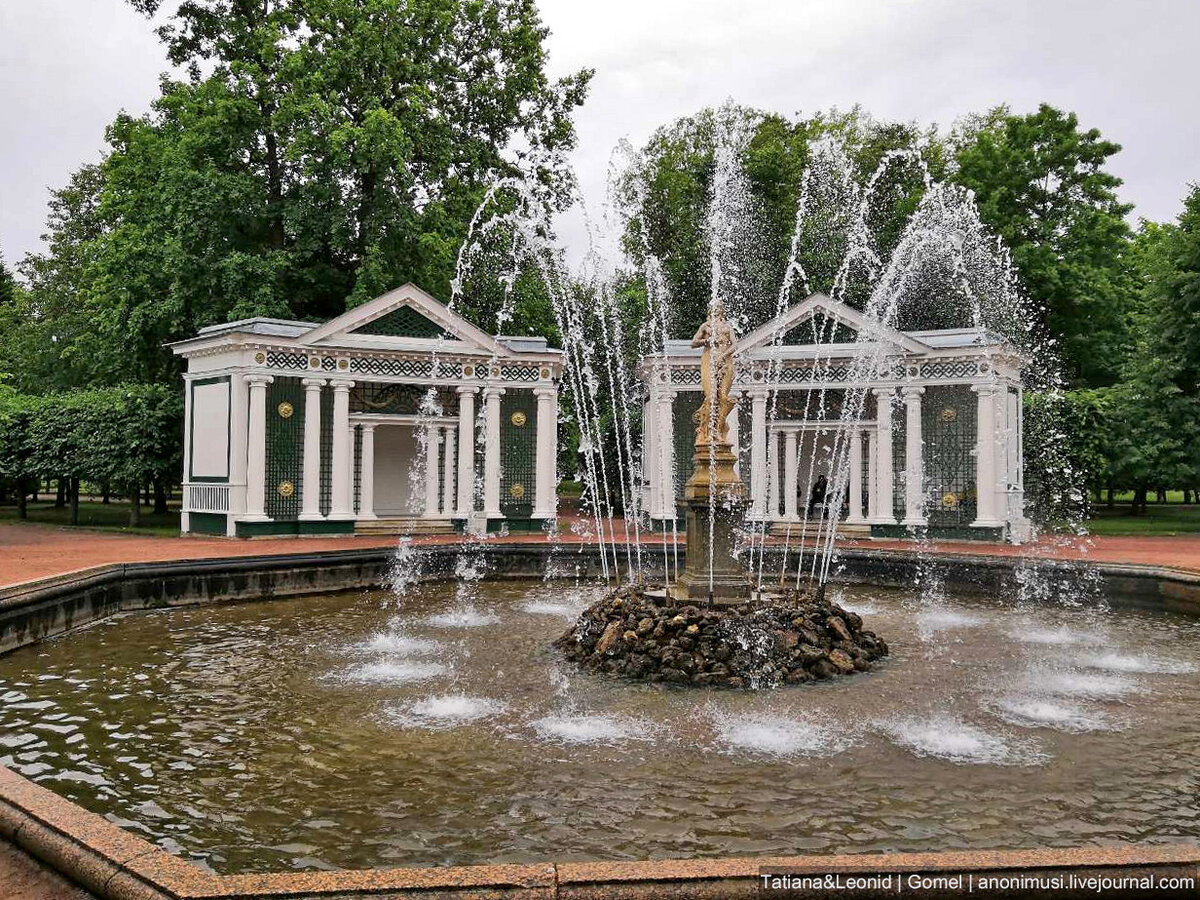 Экскурсия в Павловск и Петергоф