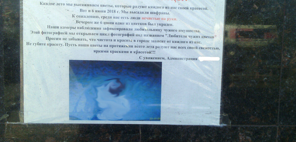 Объявление рядом с клумбами об очередном ЧП. Все личные данные были скрыты