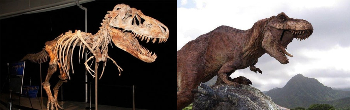 Disco Dino Disco Dino Wiki Fandom