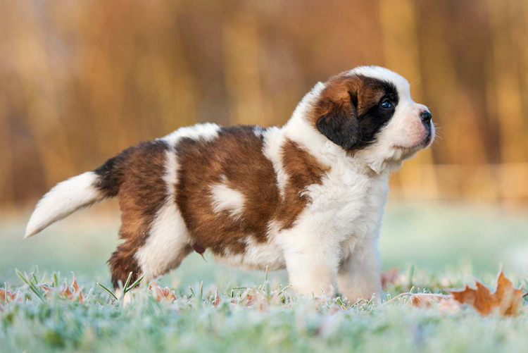 Малыш заслуживает лайка!  😍