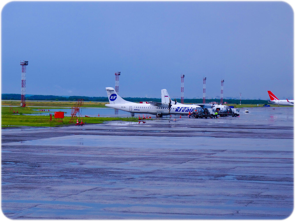 самолёт новосибирск сочи новости. авиарейсы сочи новосибирск. самолет новосибирск сочи. нск сочи. сочи из новосибирска.