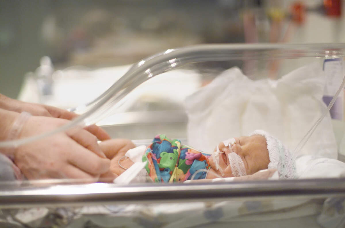 Изображение взято с сайта o-krohe.ru