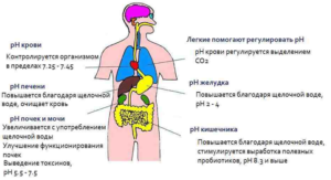 Влияние соды на организм человека