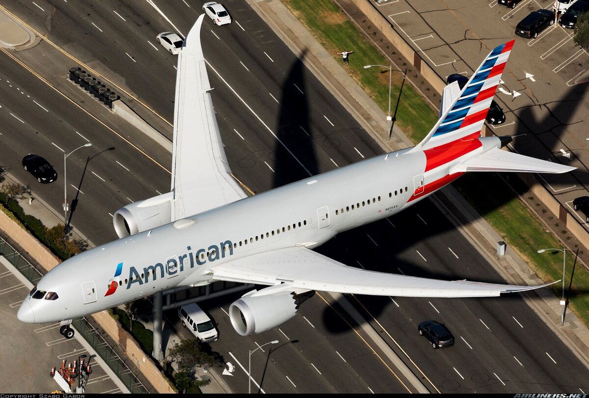 American Airlines хочет открыть для себя китайский рынок, China Southern набралась сил, чтобы потеснить на американском направлении своих соотечественников-конкурентов. Интересы двух гигантов совпали