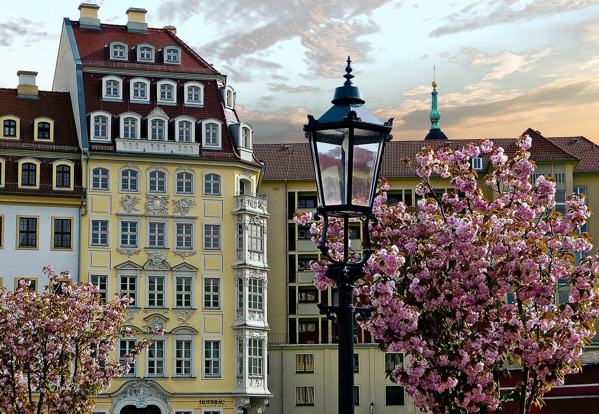 Дрезден Германия природа