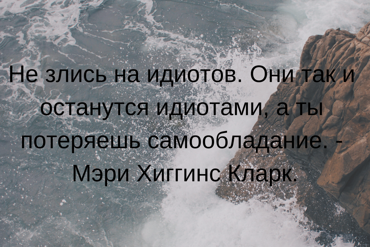 Как не обращать внимание на людей. Не злись на идиотов. Забей на идиотов. Не злись на идиотов. Они. На идиотов не обижаются.