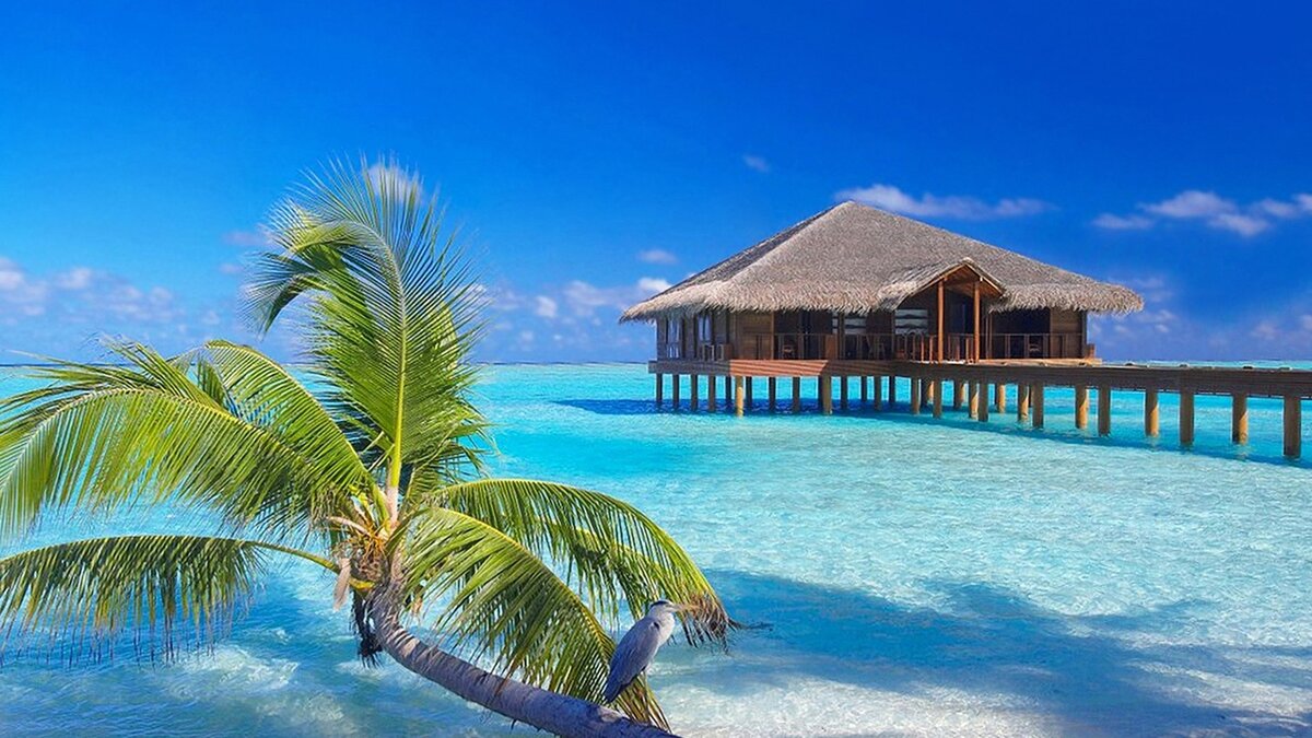 Фото из открытых источников.