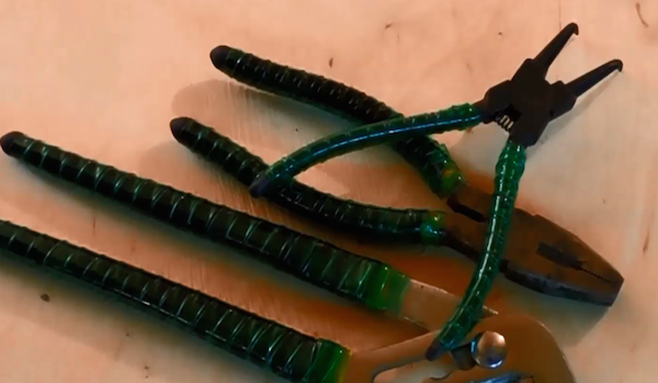 Фото: Дачный Труженик