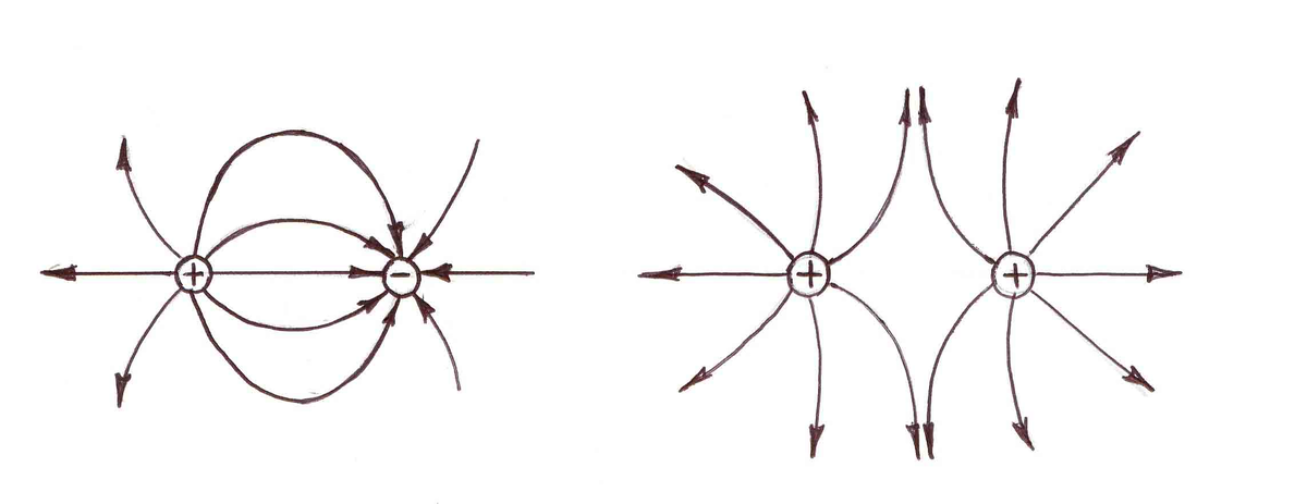 Силовые линии незамкнуты: они идут от положительного заряда к отрицательному; также они не пресекаются и не касаются друг друга. 