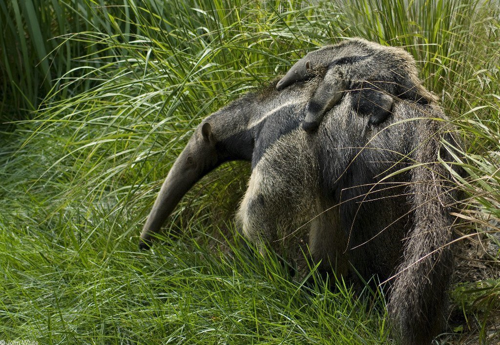 Когда ты мать одиночка, а тебе еще и квартиру надо пылесосить! 