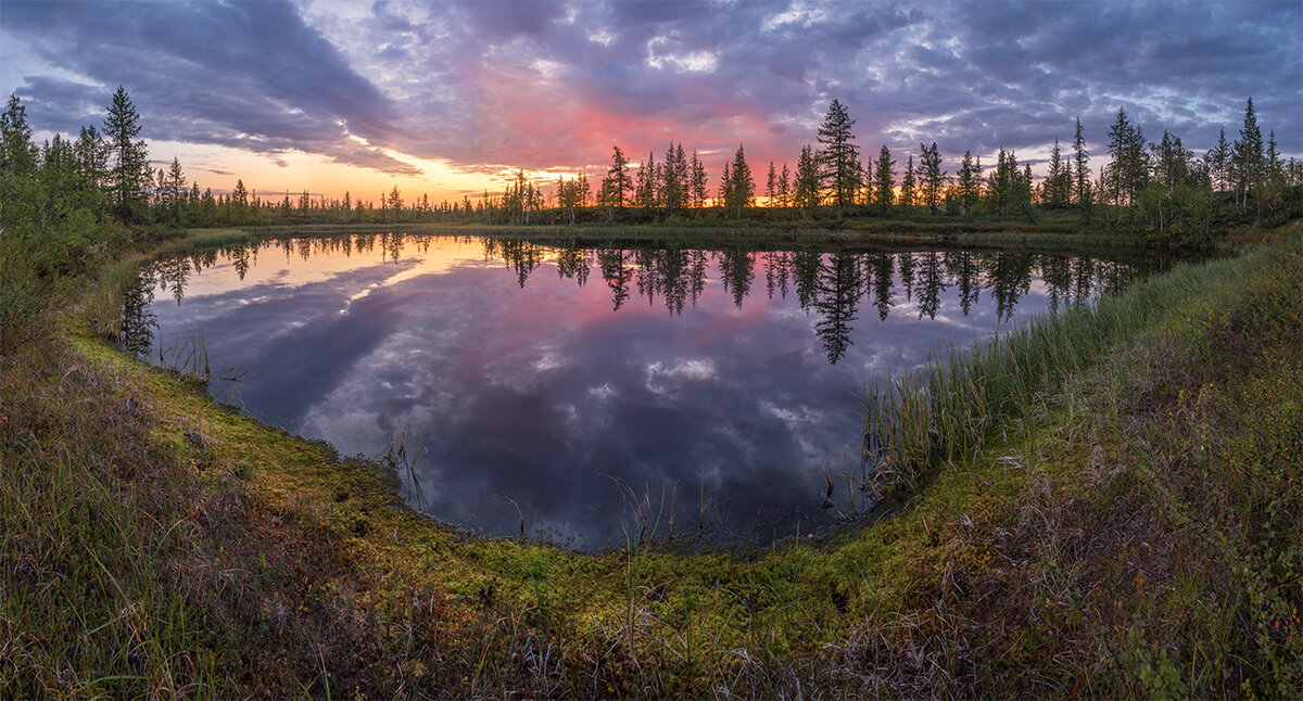 Фото с сайта фотографа Андрея Снегирёва http://andreysnegirev.ru/