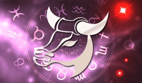 Знак зодиака телец и зодиакальный круг. Источник фото: Яндекс картинки