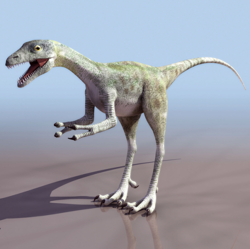 
О построении таких моделей и пойдет речь в данной статье.