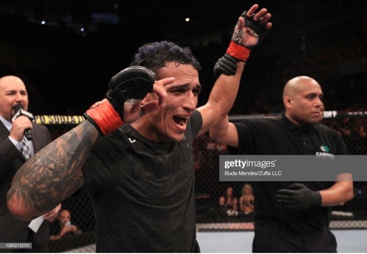 Начинающий чимпион 