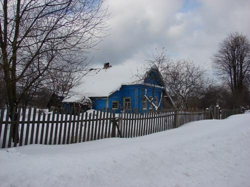 Перед покупкой я тщательно изучила состояние свай, перекрытий, крыши этого домика