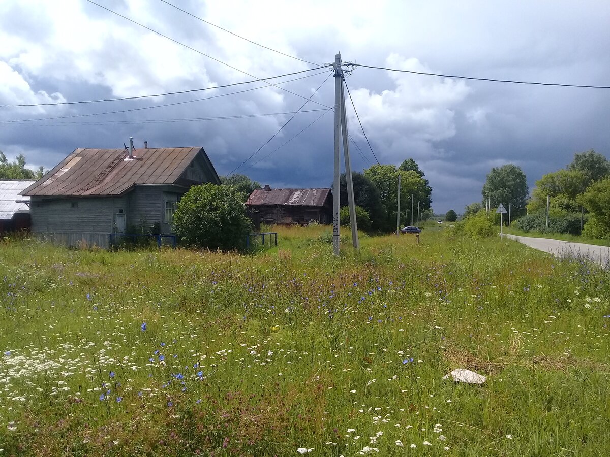 Погода в первомайском районе гришино. Гришино Владимирская область. Село Гришино. Гришино Владимирская область Александровский район. Деревня Гришино Псковская область.