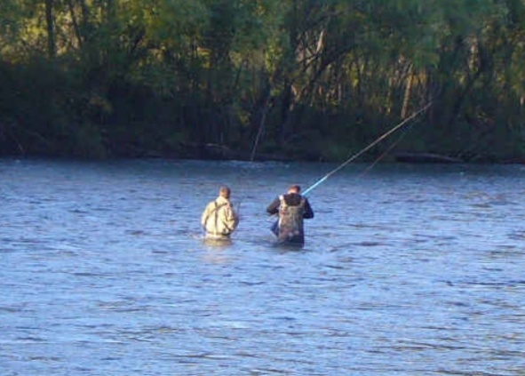 Весна – долгожданное время для природы и людей. Бескрайнее Приморье поражает воображение масштабами и красотой. Мороз сменяется оживляющим теплом и у рыбаков возникают необузданное желание вновь посетить любимые места. А Вы часто выбираетесь посмотреть на красоты родного края, видели кедр в три обхвата? Как поймать самую интересную рыбу Приморских рек, куда и на чем поехать, чтобы почувствовать дыхание тайги, какие снасти приготовить – читайте, будет интересно.

Места, о которых Вы не знали

Приморье уникально тем, что в 4-5 километрах от дороги, по которой Вы часто ездите, может находиться волшебное, потрясающее воображение красотой и нетронутостью место. Об одном из них мы сегодня расскажем, но есть условие – Вы не повлияете на его нетронутость. Бывалые рыбаки знают о нем, регулярно посещают, можно там и просто замечательно отдохнуть. Река Арсеньевка – тихая, полноводная в своих низовьях, меняет свой характер по мере приближения к истоку. Бурные пороги, мощное, сбивающее с ног течение, скалистые берега, кристально чистая вода, которую легко можно пить прямо из речки – это все Арсеньевка, видели её такой?

Добраться сюда можно на любом автомобиле, а вот чтобы подъехать непосредственно к реке на понравившееся место может потребоваться джип. На трассе «Осиновка – Рудная пристань» за населенным пунктом Анучино (если ехать в сторону Уссурийска) есть поворот обозначенный указателем «Виноградовка». Хорошая дорога проведет Вас через ряд населенных пунктов к грунтовке, перевалам и верховьям реки. Проезжая дерево в ленточках, начинаем присматриваться и выбирать место стоянки. Становимся и расчехляем удочку, ловить будем хариуса.

Хариус – рыба царского стола

Для того, чтобы выходить из схватки победителем, своего противника нужно знать — это аксиома! Зная среду обитания, повадки и родословную хариуса, Вам будет гораздо проще найти его на реке и заполучить в свой улов.

В рыбном семействе хариус находится в обособленной нише. Он является родственником лососёвых и сиговых, однако и не то и не другое. Хариус является хищником, питается живностью различного рода, которая в обилии обитает в реках. Не брезгует икрой и личинками всевозможных насекомых, да и самими насекомыми.

Хариус присутствует практически на всей территории России, за исключением некоторых районов. Основным условием его существования является проточной чистой воды и достаточно быстрое течение. Анатомия хариуса такова, что для подпитки кислородом ему нужен бурный поток воды, в стоячих и вялотекущих водах существовать он не может. Верховья рек, горные речушки — вот излюбленное место обитания этой рыбы, в Арсеньевке он тоже есть.

Отличительной особенностью ловли хариуса является использование искусственных приманок (обманок, мух, мушек — под общим названием «химия»). Опытные рыбаки говорят — знаешь рабочую муху — владеешь миром! К счастью клев хариуса переменчив и то, что рыба с удовольствием брала на одном перекате реки, может не работать на 20-100 метров ниже или выше по течению.

При поклевке, даже небольшая 20-25 см особь гарантирует впрыск адреналина. Всё это делает ловлю хариуса крайне интересным, азартным и увлекательным занятием. Ею в буквальном смысле «болеют» так, что до ночи из реки не вытащишь отдельные экземпляры рыбаков.

Мушки имеются в продаже в большинстве рыболовных магазинов, вяжут их специалисты. Вам осталось опытным путем подобрать рабочую приманку, обратите внимание на оранжевые, красные и зеленые цвета – как правило, они универсально работают по хариусу. Любители ловли хариуса, зачастую, вяжут мухи самостоятельно.

Поклевка хариуса кратковременна, рыбак должен постоянно держать леску натянутой. Рыба быстро понимает, что взяла искусственную мушку, а не личинку или насекомое, и тут же её бросает. Подсечка осуществляется сразу в момент поклевки.
Рыбаку потребуется забродный костюм, кан для улова (садок для рыбы на ремне через плечо), удочка с мухами. Снасть для ловли хариуса состоит из лески, поплавка (обычно из бальсы), скользящего груза и карабина.

Карабин служит для быстрой смены мушки. Груз должен скользить, чтобы при поклевке рыба не чувствовала его инертности – это добавляет время рыбаку на совершение подсечки.

С гастрономической точки зрения именно чистая вода, сильное течение и активная миграция делают вкус этой рыбы неповторимым. Особенно хорош хариус жареным – мясо снимается одним движением, а мелкие кости отсутствуют. Также рыбу консервируют, едят сырой (блюдо называется «Хе») с соевым соусом и васаби. Великие славянские цари кушали эту рыбу, но у Вас есть преимущество – хариус пойманный своими руками на порядок вкуснее.

Обязательное условие клева

Едешь по дороге таежной, река шумит, красота… Однако, берег завален последствиями отдыха – такой пейзаж все привычней глазу, но это не нормально! Мы поделились интересным местом, постарайтесь же сохранить его в первозданном виде. И тогда река еще не раз отплатит Вам своими щедрыми дарами. Помни великорус — уважение к природе есть залог хорошего клева!

