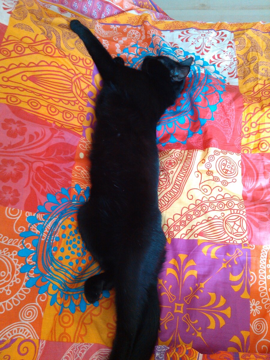 Бегемоша отдыхает