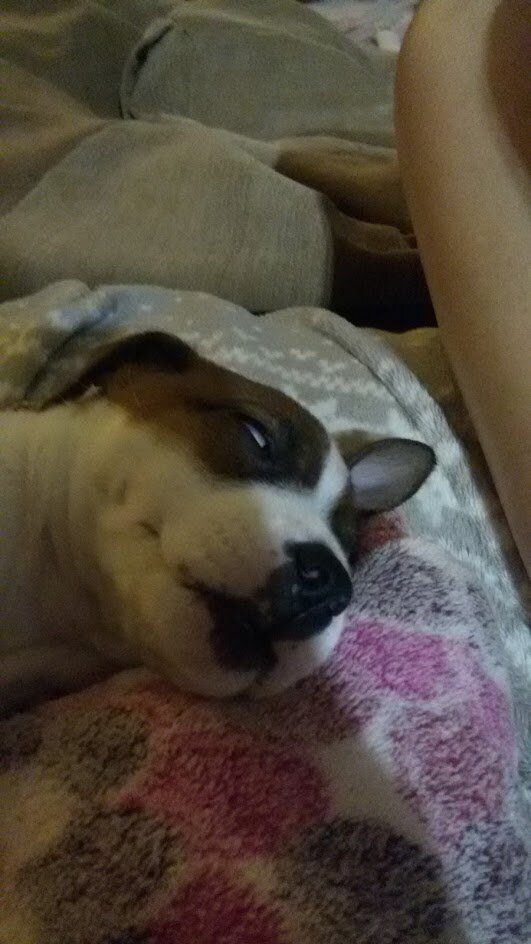 Зомбоглаз первая стадия))