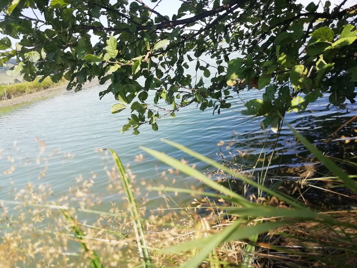 Летние денечки