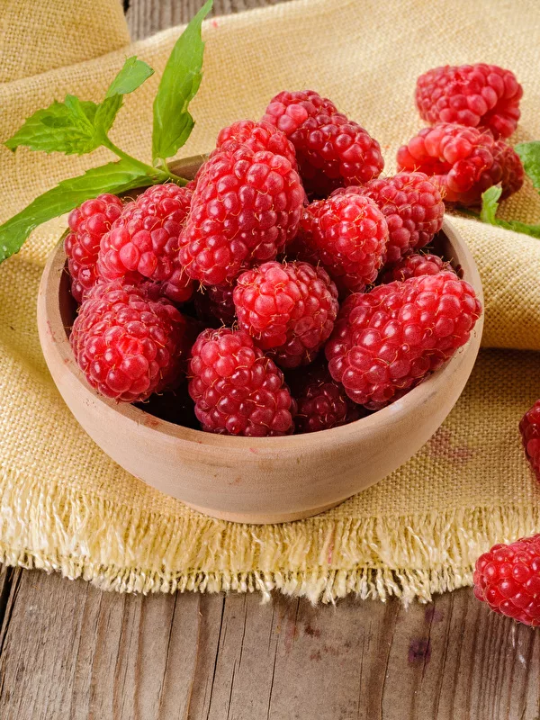 https://www.pinterest.ru/pin/601582462710000597/