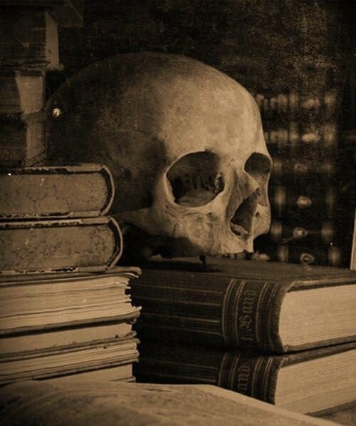 Источник: сервис яндекс-картинки