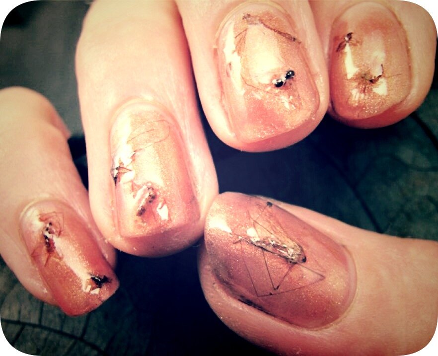 фото в свободном доступе в сети Интернет