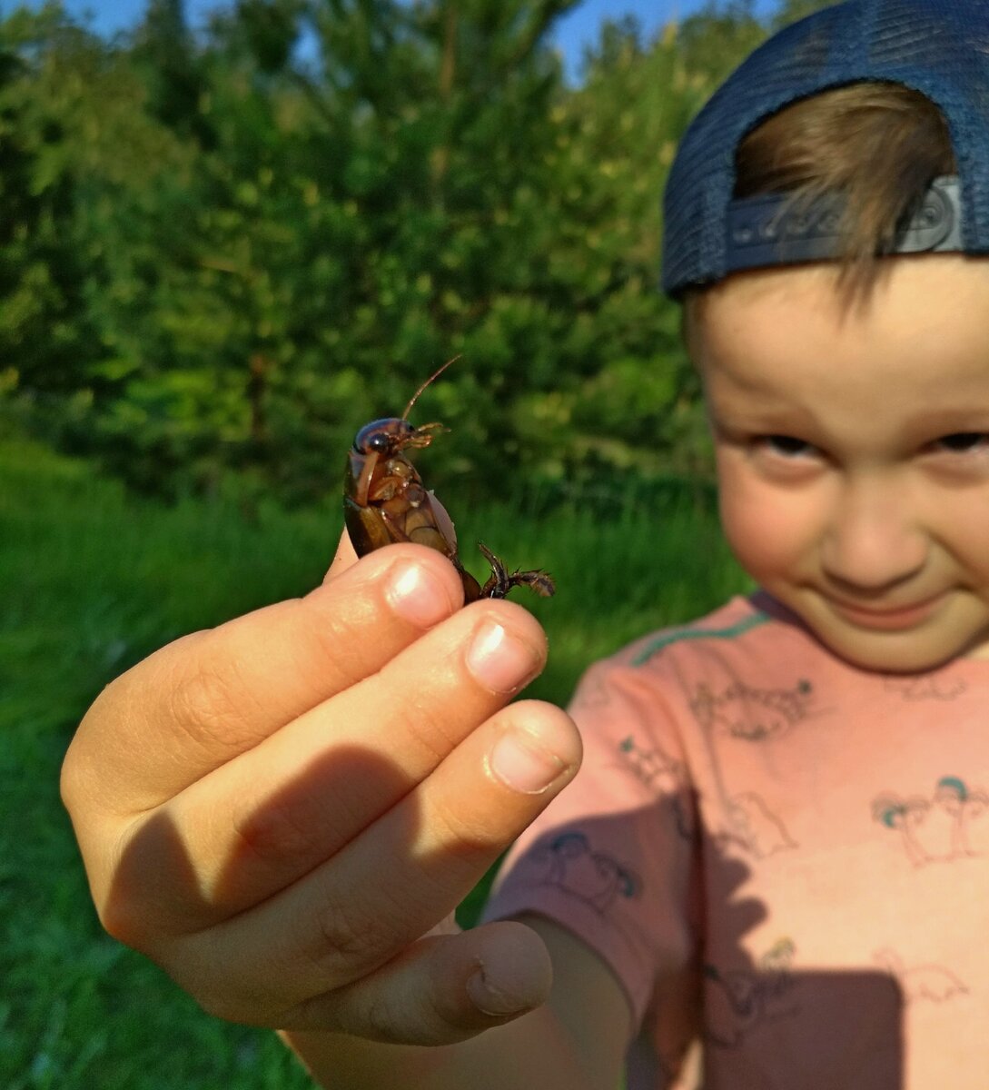 Мой сын. Этот жук - точно не укусит