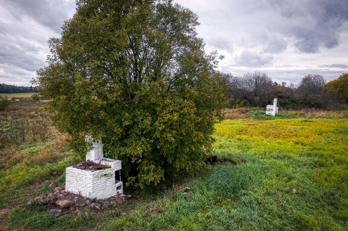 картинка с ресурса яндекс.картинки