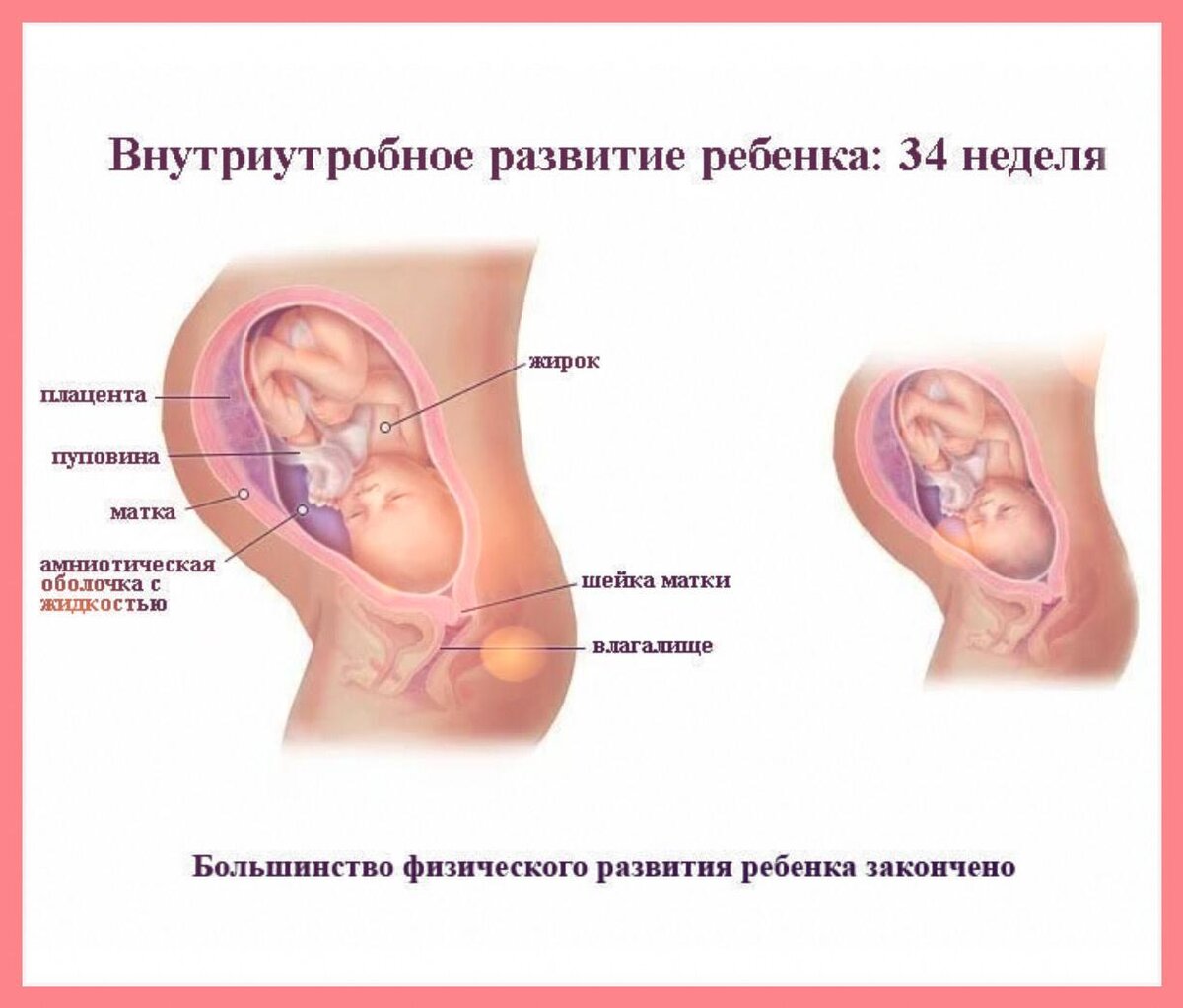 из интернета