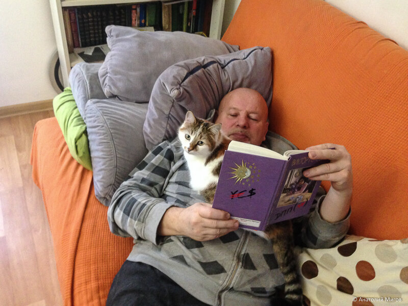 Я или мой муж с книгой  на диване - обычное зрелище. Одни скажут про нас - "вот ведь лентяи", а другие - "и у нас дома то же самое".