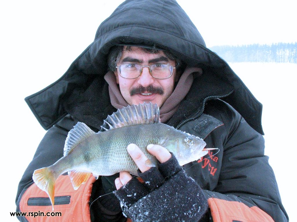 Рыбалка зачем. Успехов на рыбалке.