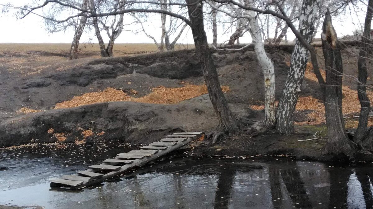 Фото автора.