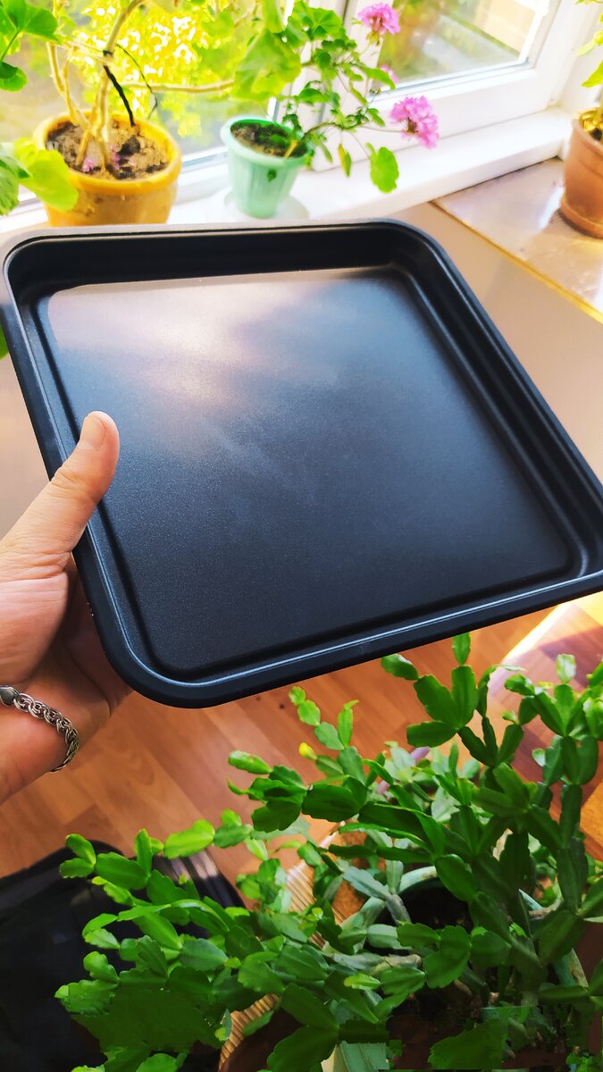 В комплект входит Тарелка Crisp Уникальная функция Crisp позволит с легкостью приготовить вкусные пироги, рыбные и овощные запеканки, мясные блюда и печенье с аппетитной хрустящей корочкой с минимальным использованием растительного масла.