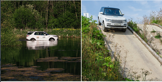 фото с яндекс картинок