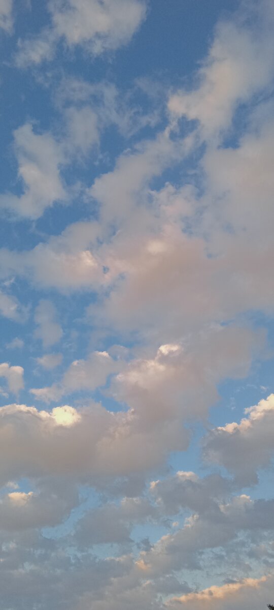 Между дождями