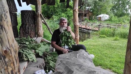 Собираем и вяжем веники для бани.