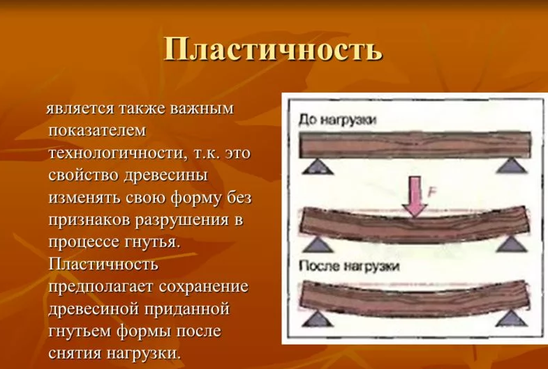 Пластичность относится к свойствам. Пластичность древесины. механическая пластичность древесины. механические св ва древесины. упругость древесины.