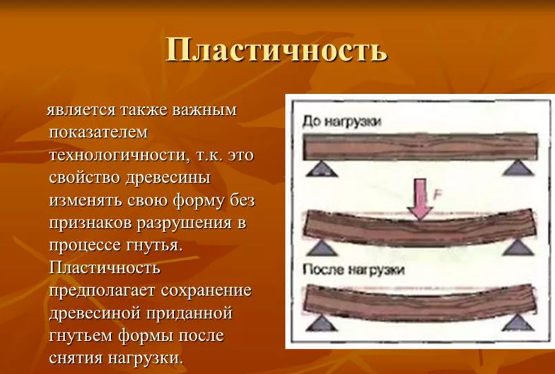 И прочности а также. Пластичность древесины. Механические элементы древесины. Упругая древесина. Упругость древесины.