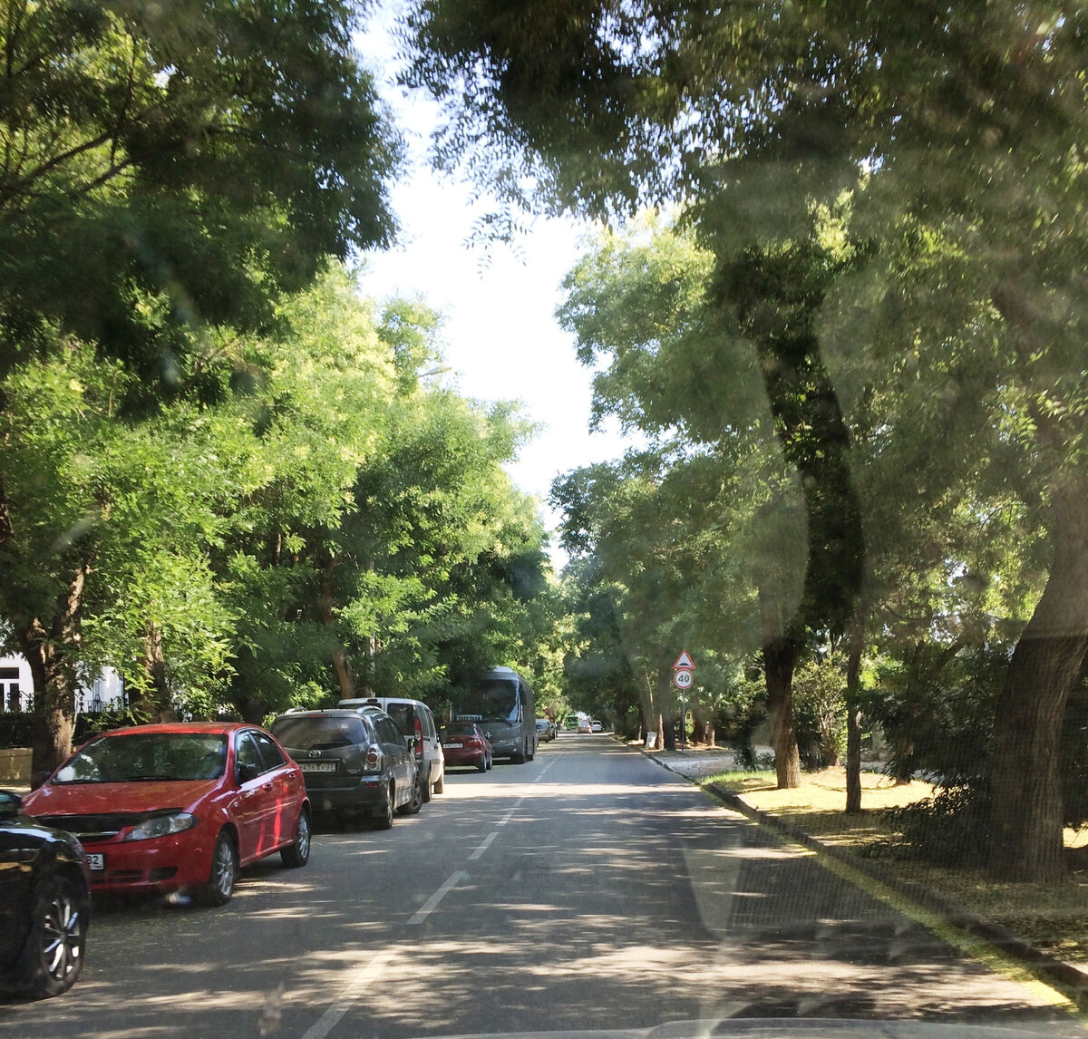 Зелень напомнила Ялту