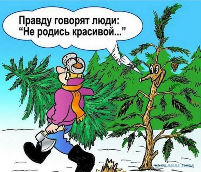 Приколы про новый год. Анекдоты про новый год. Карикатура новый год. Смешные новогодние карикатуры. Анекдот про новый год смешной.