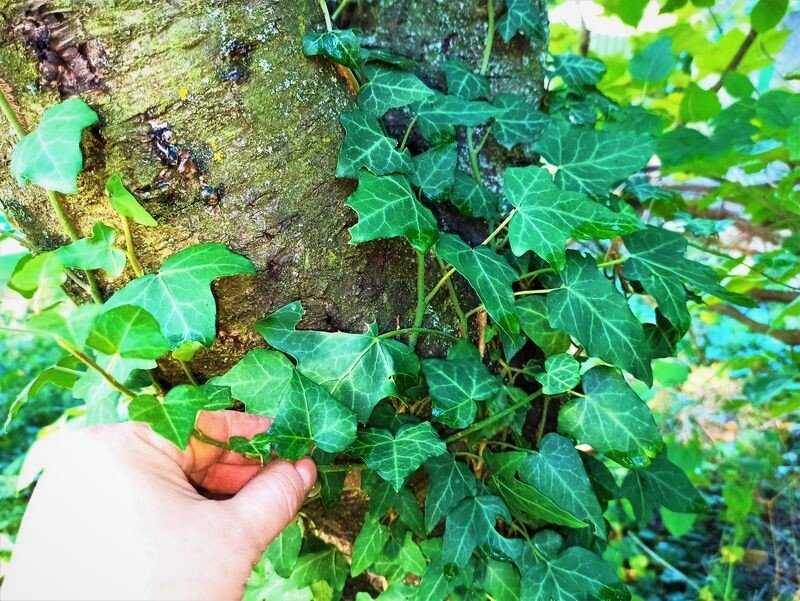 Сентябрь 21 года. Фото автора.