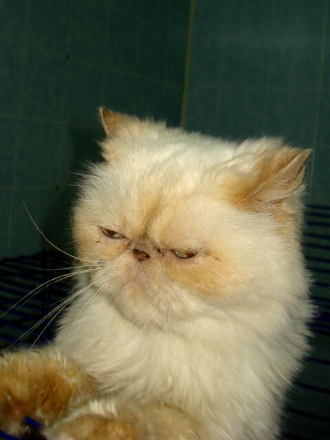 В стационаре