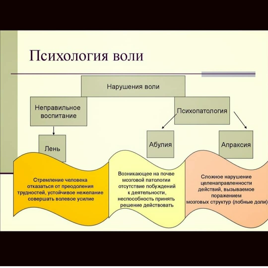 Автор ресурсной концепции воли. Воля психология. Понятие воли в психологии. Воля это в психологии определение. Воля термин в психологии.