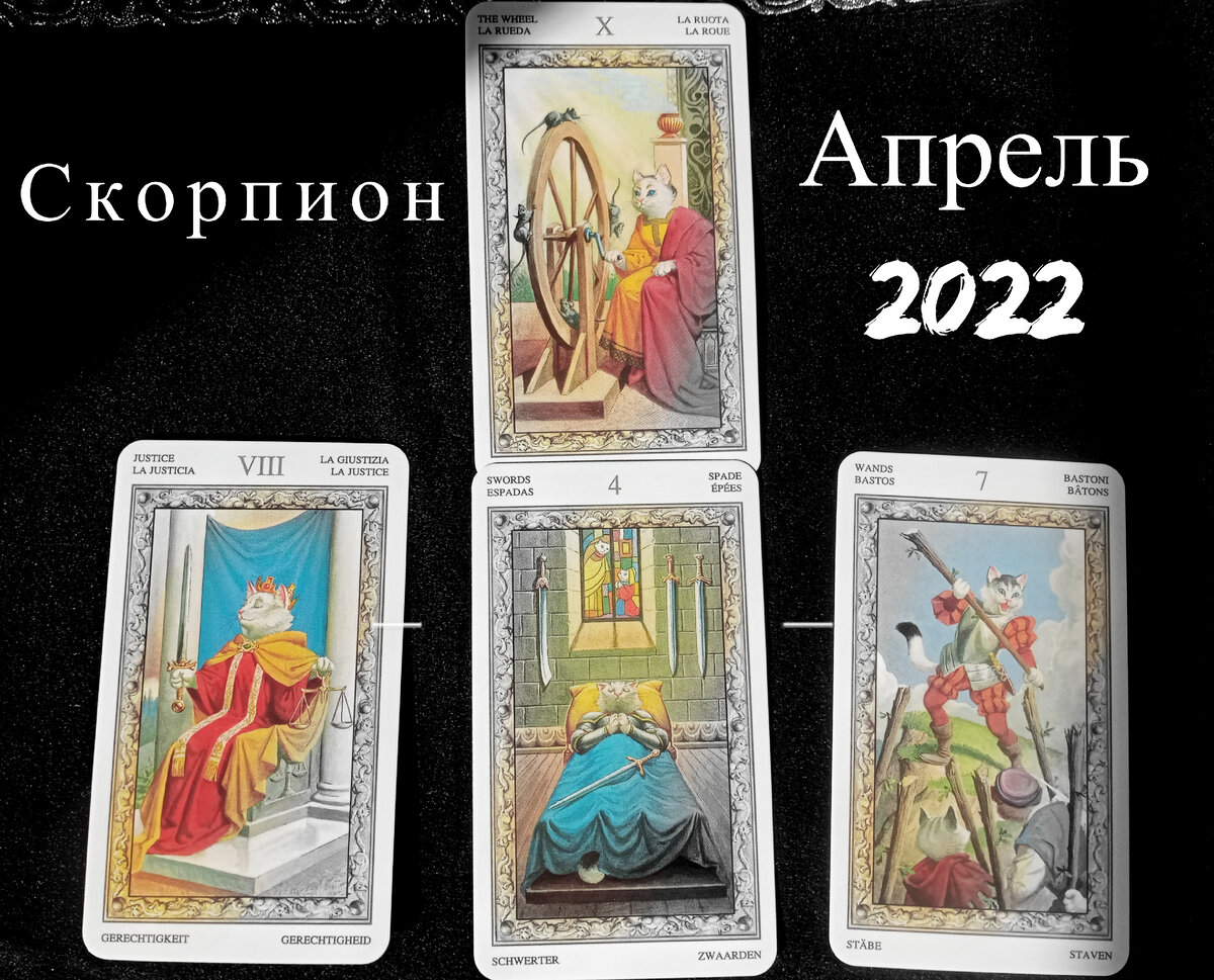 Таро Белых Котов