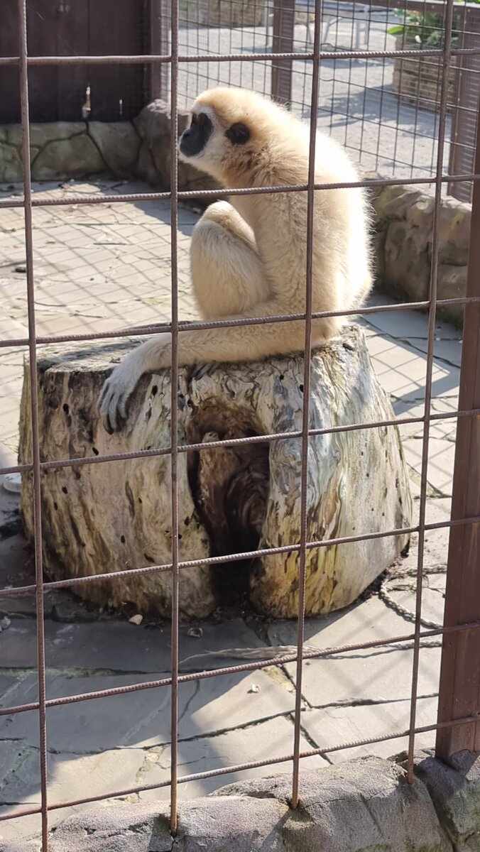 Это просто чудо! Их стоит увидеть!