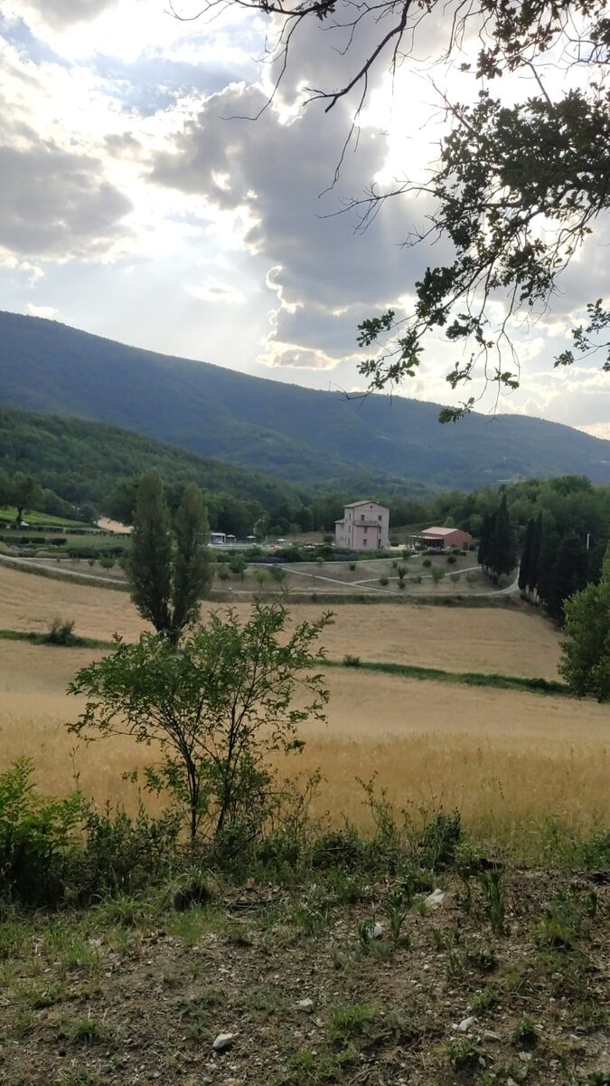 здание отеля Colle Casini Cortesi